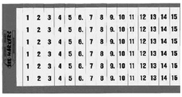 [174000020] Bezeichnungskarte SES 2 ws-sz