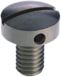 [169006807] Plombierschraube WZ M6×10mm