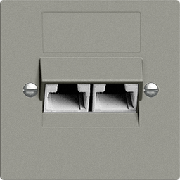 [878624040] UP-Dose 2×RJ45/u 4P getr.Edue