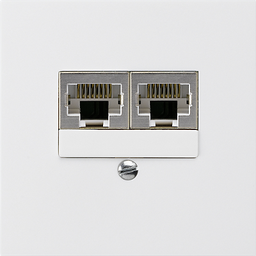 [877618008] UP-Dose KAL 2×RJ45s getrennt