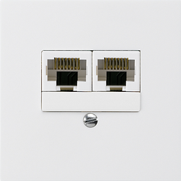 [877636008] UP-Dose KAL 2×RJ45u getrennt