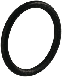 [121930609] O-RING PERBUNAN N M25